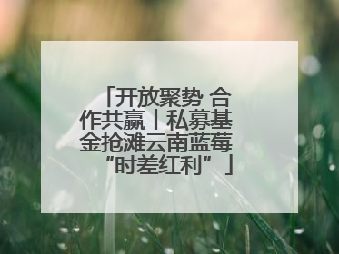开放聚势 合作共赢丨私募基金抢滩云南蓝莓“时差红利”