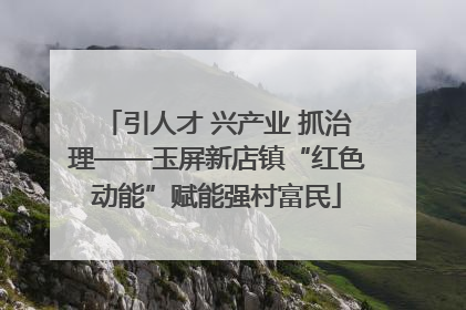 引人才 兴产业 抓治理——玉屏新店镇“红色动能”赋能强村富民