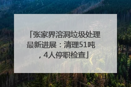 张家界溶洞垃圾处理最新进展：清理51吨，4人停职检查
