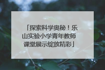 探索科学奥秘！乐山实验小学青年教师课堂展示绽放精彩