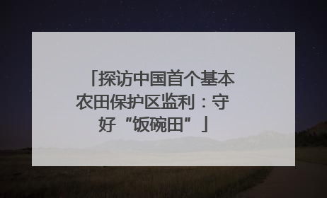 探访中国首个基本农田保护区监利：守好“饭碗田”