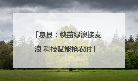 息县：秧苗绿浪接麦浪 科技赋能抢农时