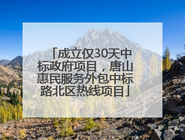 成立仅30天中标政府项目，唐山惠民服务外包中标路北区热线项目