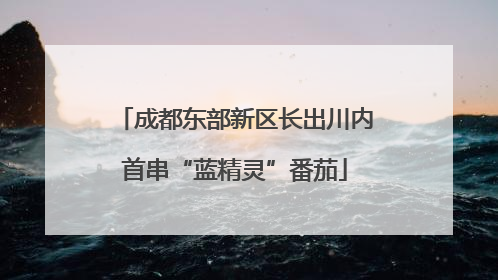 成都东部新区长出川内首串“蓝精灵”番茄