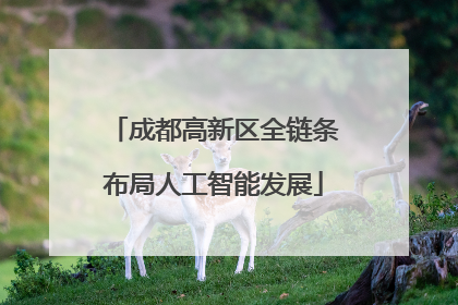 成都高新区全链条布局人工智能发展