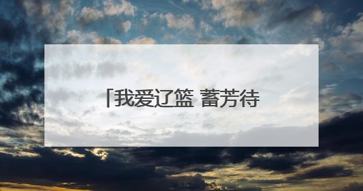 我爱辽篮 蓄芳待来年丨辽篮当针对阵容短板选外援