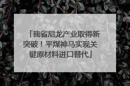 我省尼龙产业取得新突破！平煤神马实现关键原材料进口替代