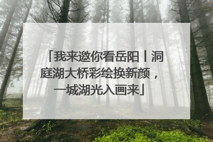 我来邀你看岳阳丨洞庭湖大桥彩绘换新颜，一城湖光入画来