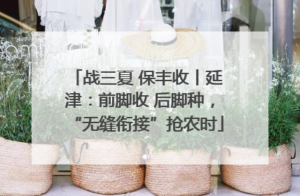 战三夏 保丰收丨延津：前脚收 后脚种，“无缝衔接”抢农时