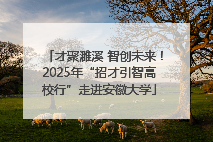 才聚濉溪 智创未来！2025年“招才引智高校行”走进安徽大学