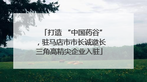 打造 “中国药谷”，驻马店市市长诚邀长三角高精尖企业入驻