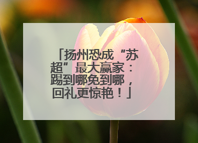 扬州恐成“苏超”最大赢家：踢到哪免到哪，回礼更惊艳！