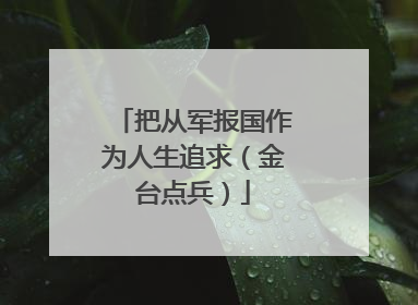 把从军报国作为人生追求（金台点兵）