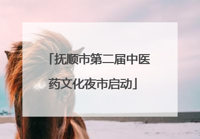 抚顺市第二届中医药文化夜市启动