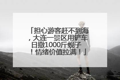 担心游客赶不到海，大连一景区用铲车日撒1000斤蚬子！情绪价值拉满！