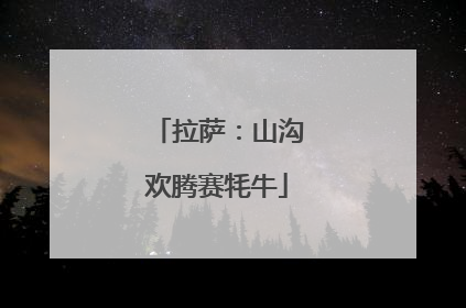 拉萨：山沟欢腾赛牦牛