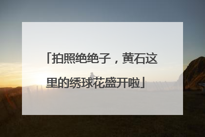 拍照绝绝子，黄石这里的绣球花盛开啦
