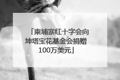 柬埔寨红十字会向坤塔宝花基金会捐赠100万美元
