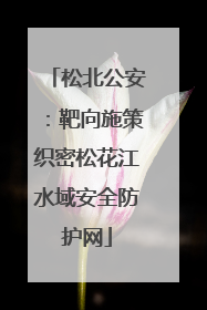松北公安：靶向施策织密松花江水域安全防护网