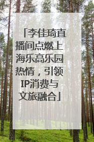 李佳琦直播间点燃上海乐高乐园热情，引领IP消费与文旅融合