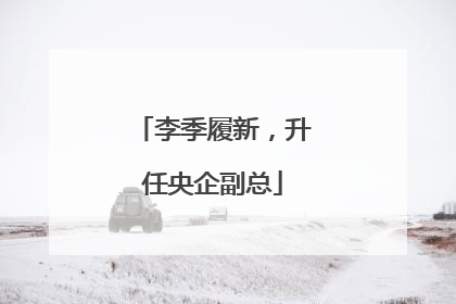 李季履新，升任央企副总