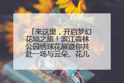 来这里，开启梦幻花境之旅！滨江森林公园绣球花展邀你共赴一场与云朵、花儿的浪漫之约