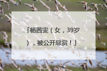 杨茜雯（女，39岁），被公开悬赏！
