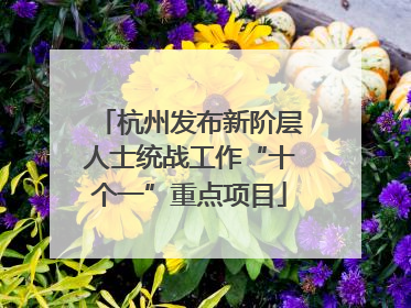 杭州发布新阶层人士统战工作“十个一”重点项目