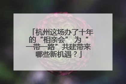 杭州这场办了十年的“相亲会” 为“一带一路”共建带来哪些新机遇？