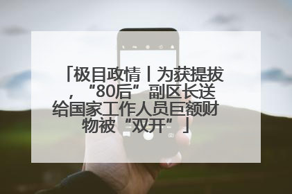 极目政情丨为获提拔，“80后”副区长送给国家工作人员巨额财物被“双开”