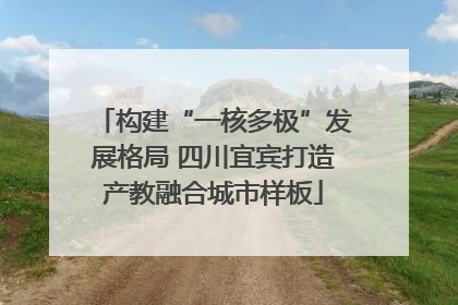 构建“一核多极”发展格局 四川宜宾打造产教融合城市样板