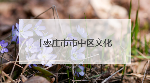 枣庄市市中区文化路街道：粽叶溢飘香 浓浓端午情