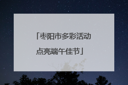 枣阳市多彩活动点亮端午佳节