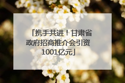 携手共进！甘肃省政府招商推介会引资1001亿元