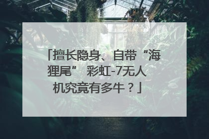 擅长隐身、自带“海狸尾” 彩虹-7无人机究竟有多牛？