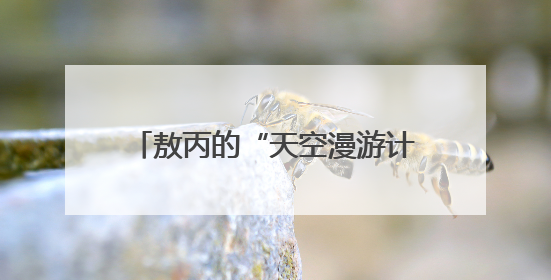 敖丙的“天空漫游计划”被“紧急叫停”
