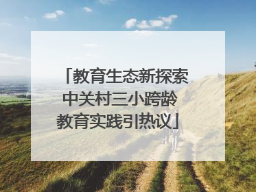 教育生态新探索 中关村三小跨龄教育实践引热议