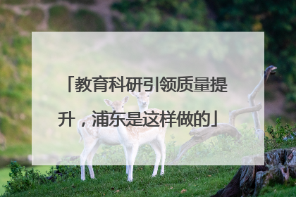教育科研引领质量提升，浦东是这样做的
