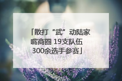 散打“武”动陆家嘴商圈 19支队伍300余选手参赛