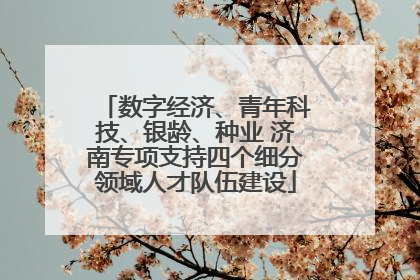 数字经济、青年科技、银龄、种业 济南专项支持四个细分领域人才队伍建设