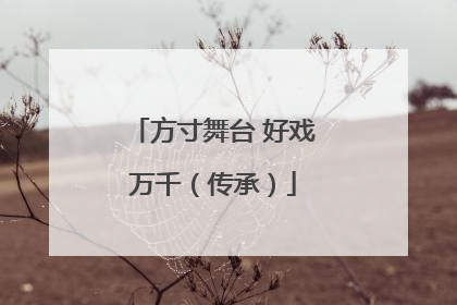 方寸舞台 好戏万千（传承）