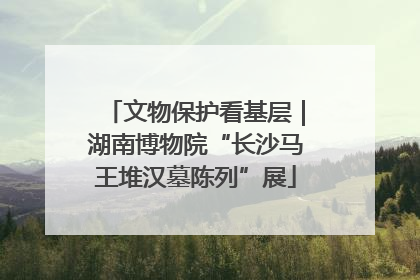 文物保护看基层｜湖南博物院“长沙马王堆汉墓陈列”展