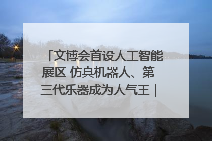 文博会首设人工智能展区 仿真机器人、第三代乐器成为人气王｜文博向“新”