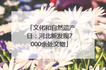 文化和自然遗产日：河北新发现7000余处文物