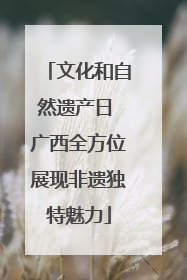 文化和自然遗产日 广西全方位展现非遗独特魅力