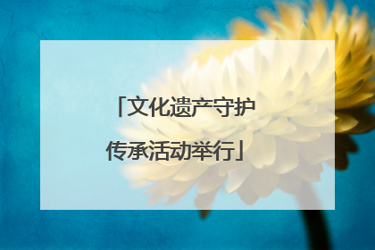 文化遗产守护传承活动举行