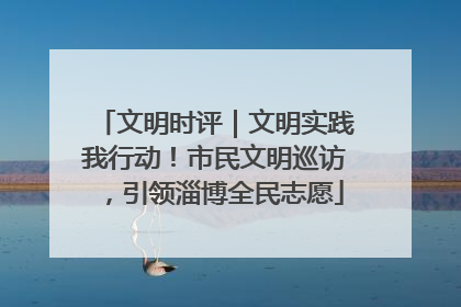 文明时评｜文明实践我行动！市民文明巡访，引领淄博全民志愿
