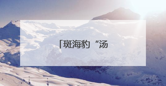 斑海豹“汤圆”归海记