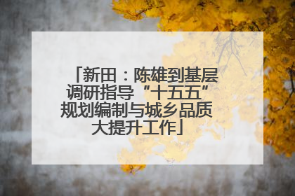 新田：陈雄到基层调研指导“十五五”规划编制与城乡品质大提升工作