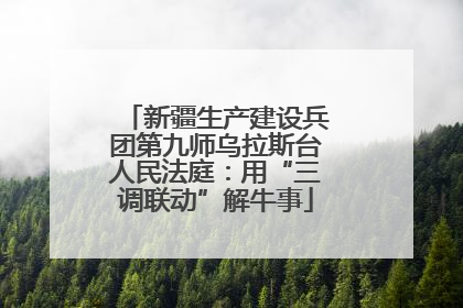新疆生产建设兵团第九师乌拉斯台人民法庭：用“三调联动”解牛事
